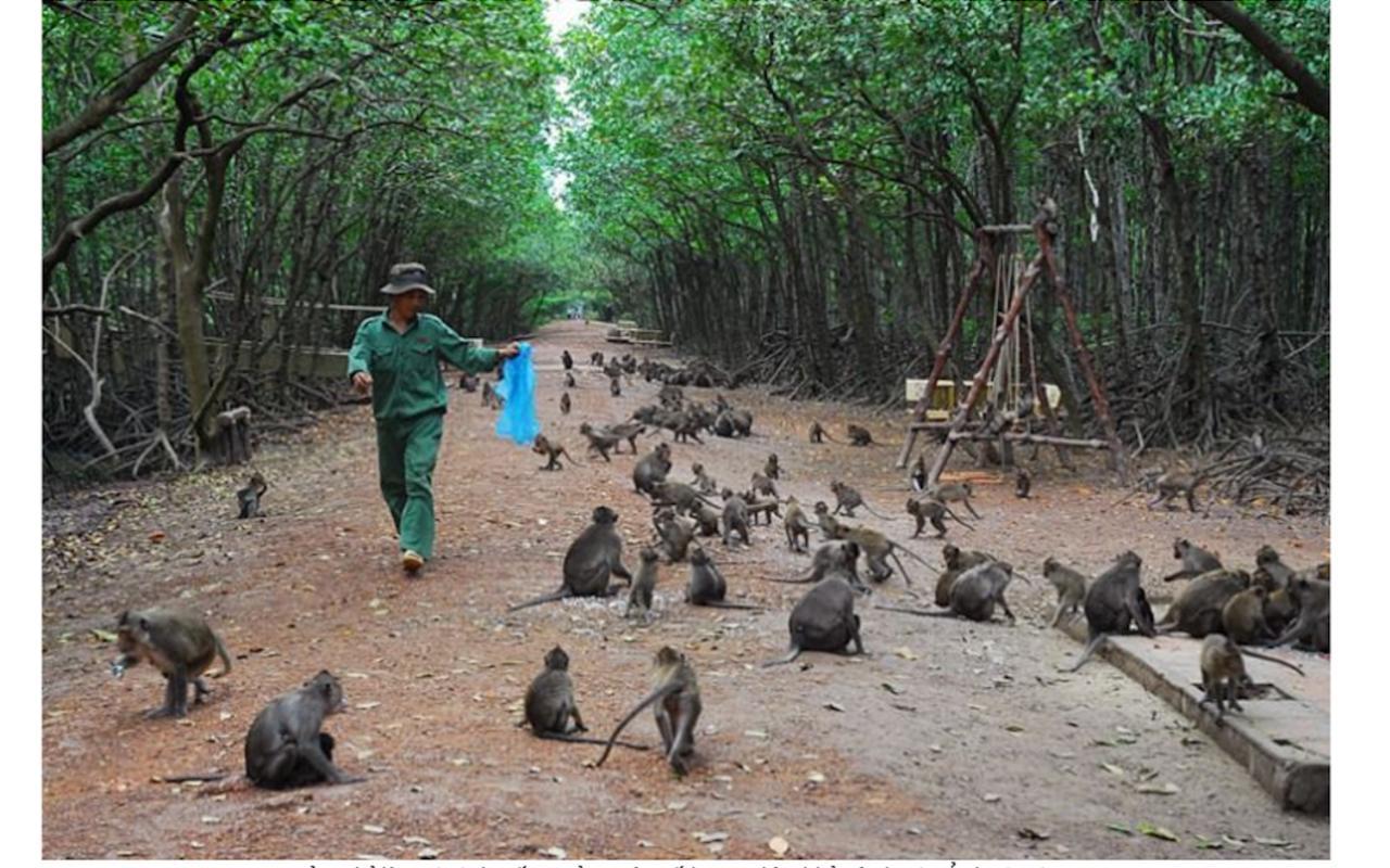 Kim Lien's Homestay Bandar Ho Chi Minh Luaran gambar